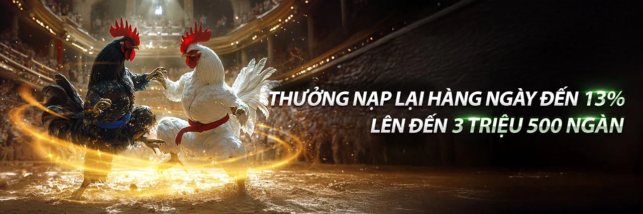 Hình ảnh chính trang tin tức gacam888 nhà cái